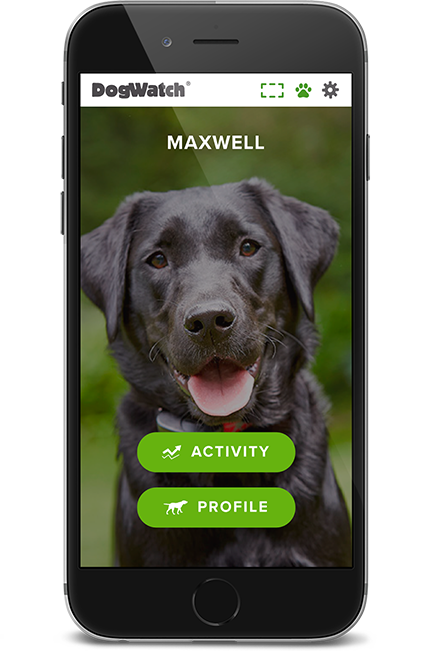 DogWatch of Greater Cincinnati, Cincinnati, Ohio | SmartFence WebApp Image