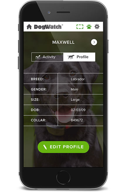 DogWatch of Greater Cincinnati, Cincinnati, Ohio | SmartFence WebApp Image