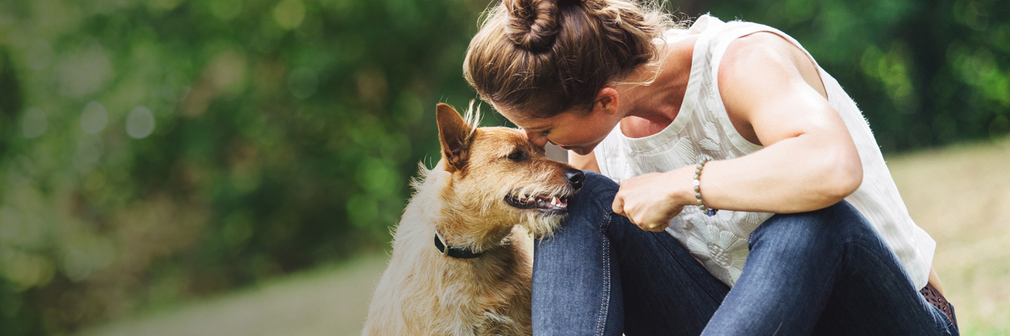 DogWatch of Greater Cincinnati, Cincinnati, Ohio | BarkCollar No-Bark Trainer Slider Image